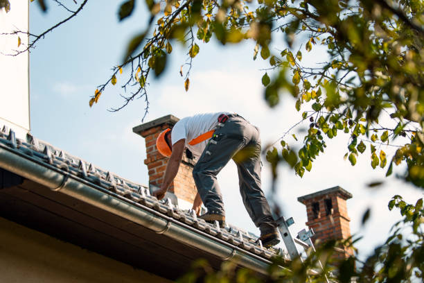 Best Roof Moss and Algae Removal  in Weatherby Lake, MO