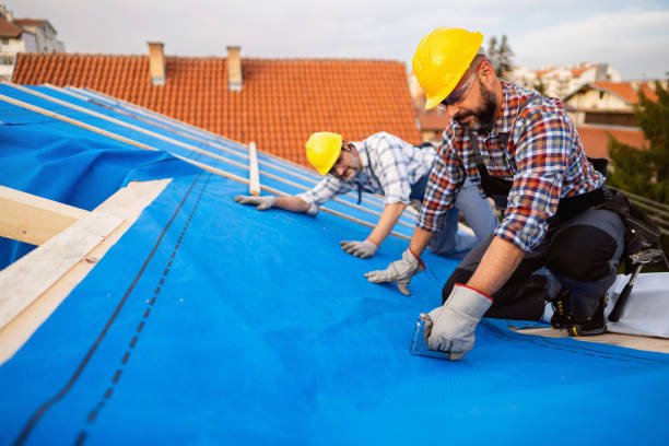 Best Roof Coating and Sealing  in Weatherby Lake, MO